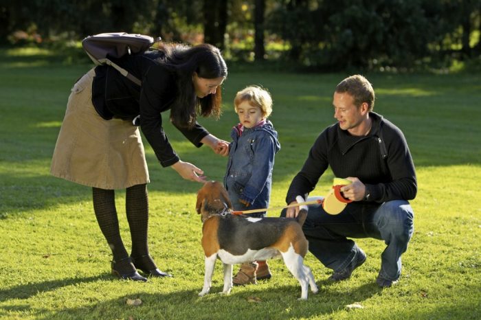 Dog greeting his family