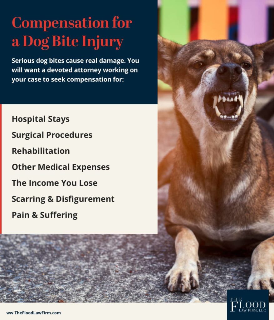 Compensation for a Dog Bite Injury | The Flood Law Firm