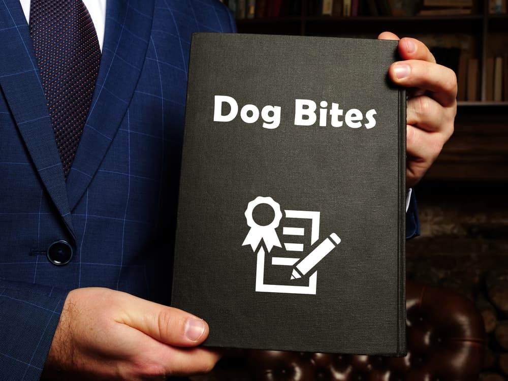 Legal concept: Dog Bite Liability. Phrase on the document.






