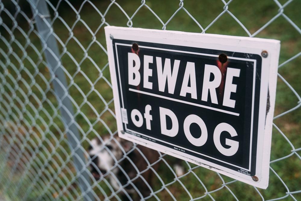 Beware of Dog sign on chain link fence with dog in the background